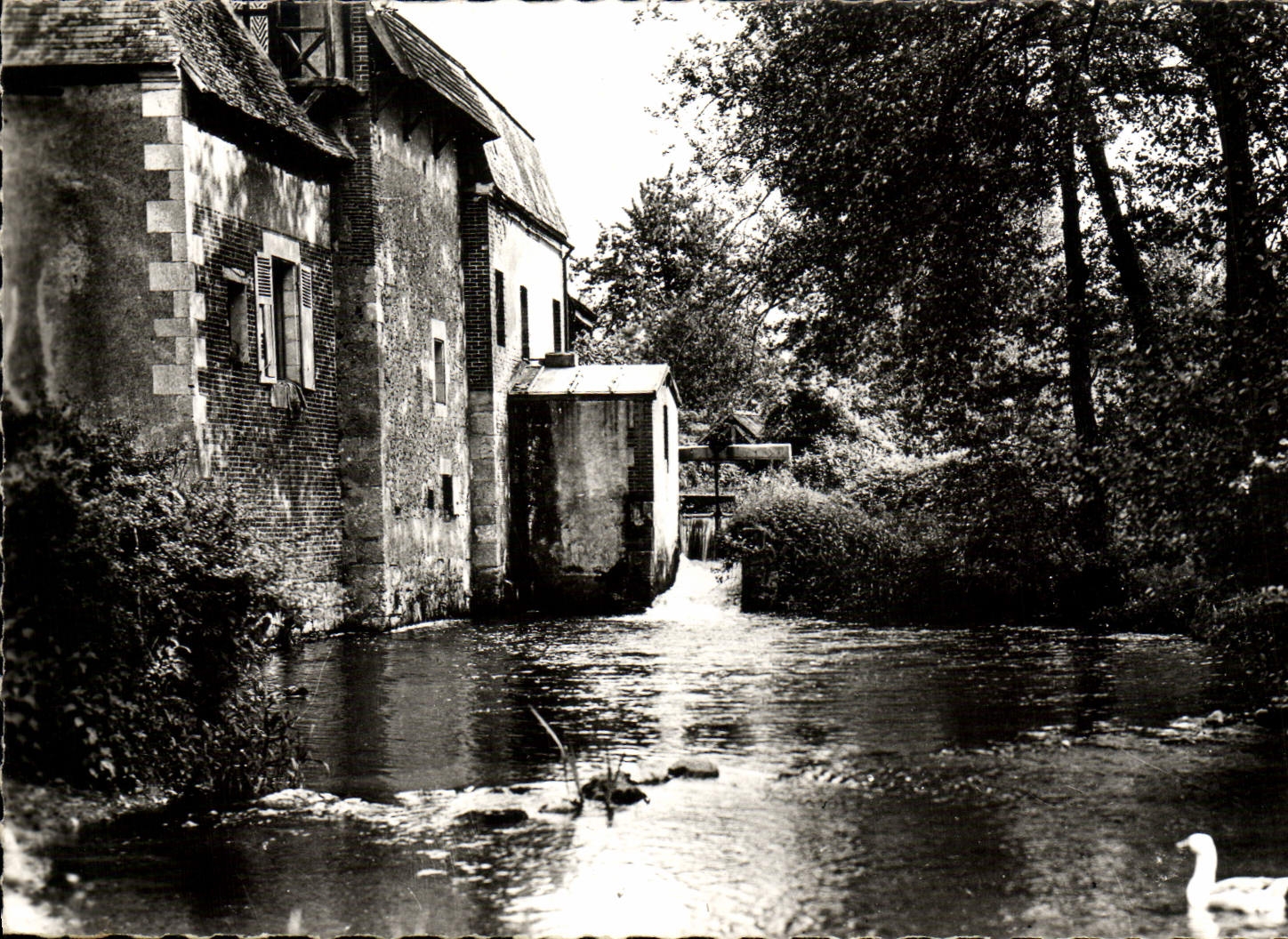 CPM Bleneau Moulin Du Bazin
