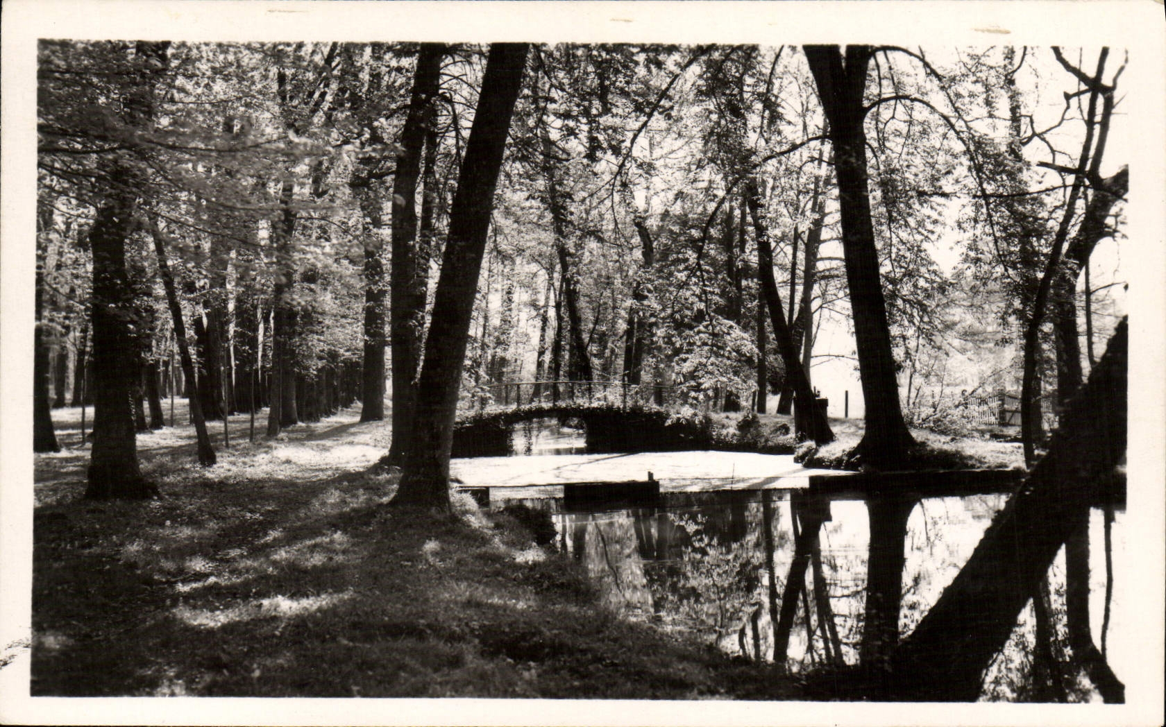 MODERN CARD Bleneau the Castle the Park