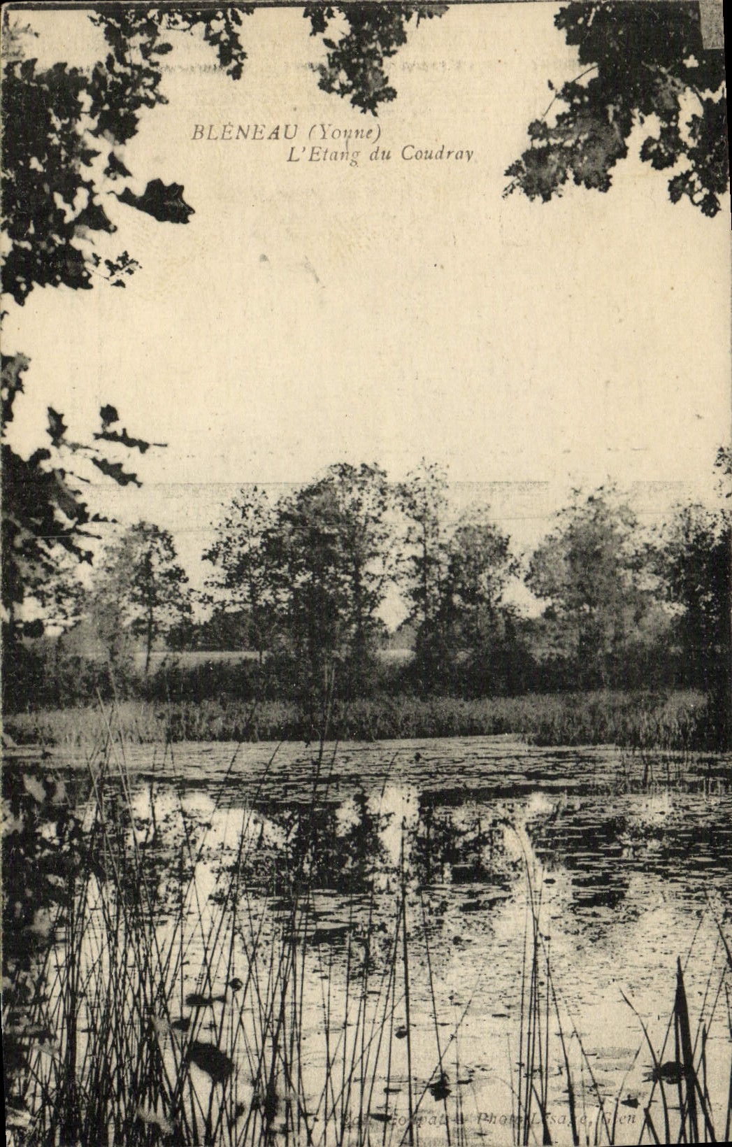 VINTAGE POSTCARD Bleneau the Pond Of Coudray