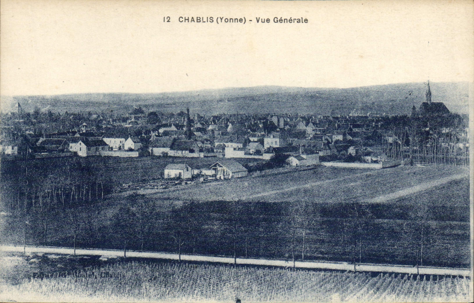 VINTAGE POSTCARD Windfallen wood View