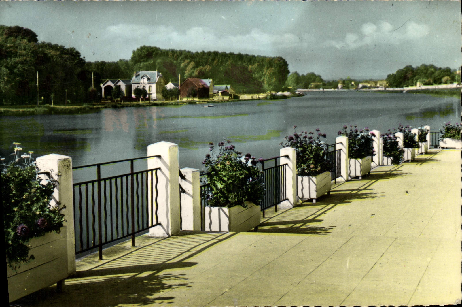 CPM Joigny Les Bords De l'yonne