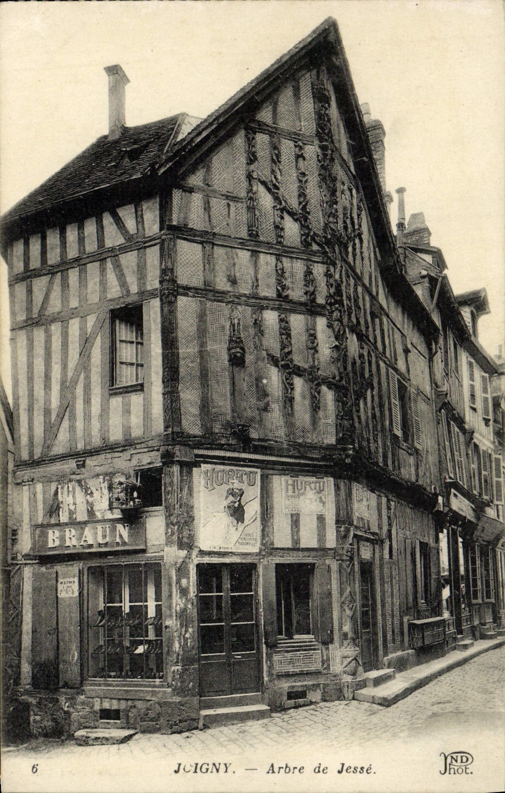 CPA Joigny Arbre De Jesse