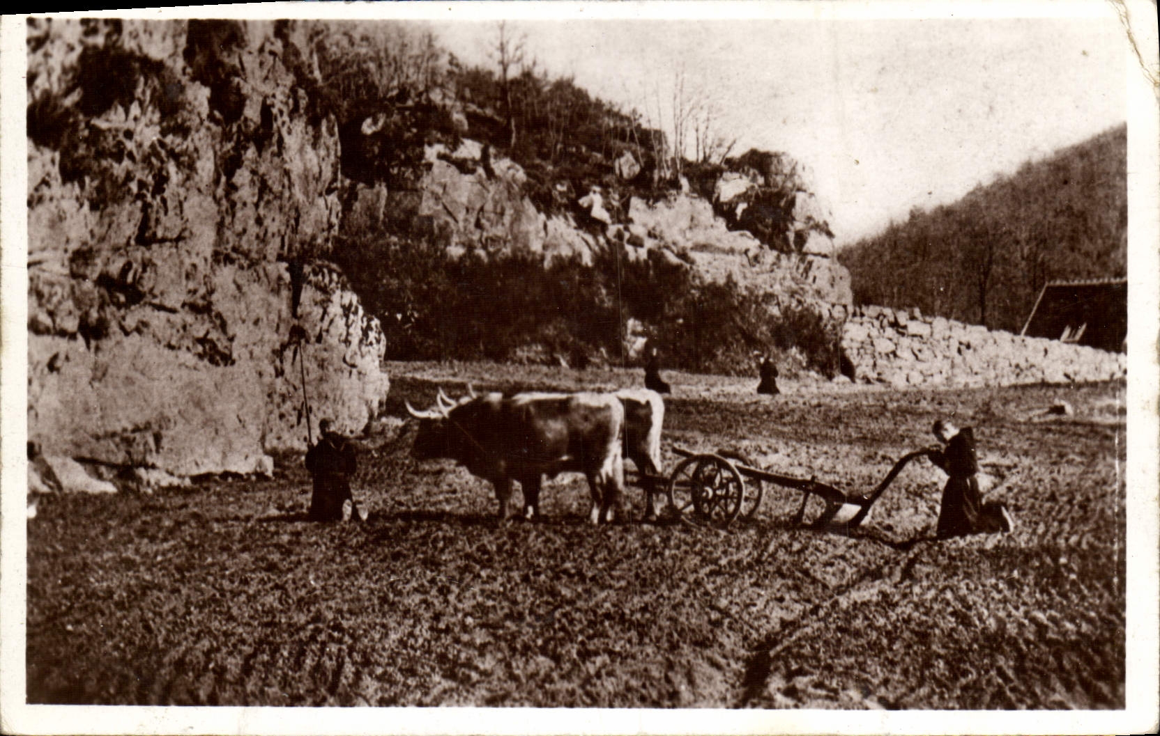 VINTAGE POSTCARD Abbey of Pierre who transfers the angelus with the fields