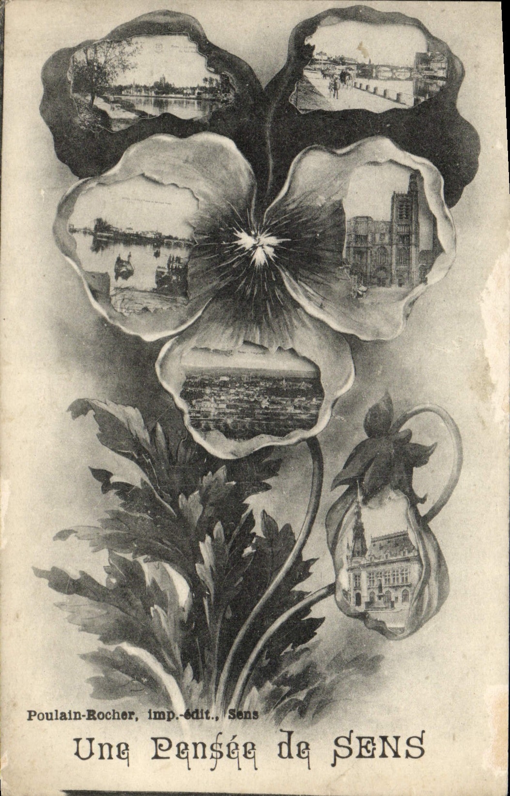 VINTAGE POSTCARD Sens a thought Flowers