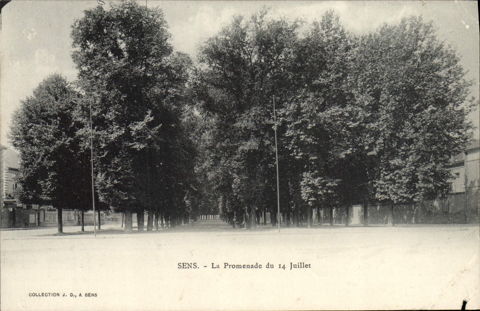 CPA Sens La Promenade du 14 juillet