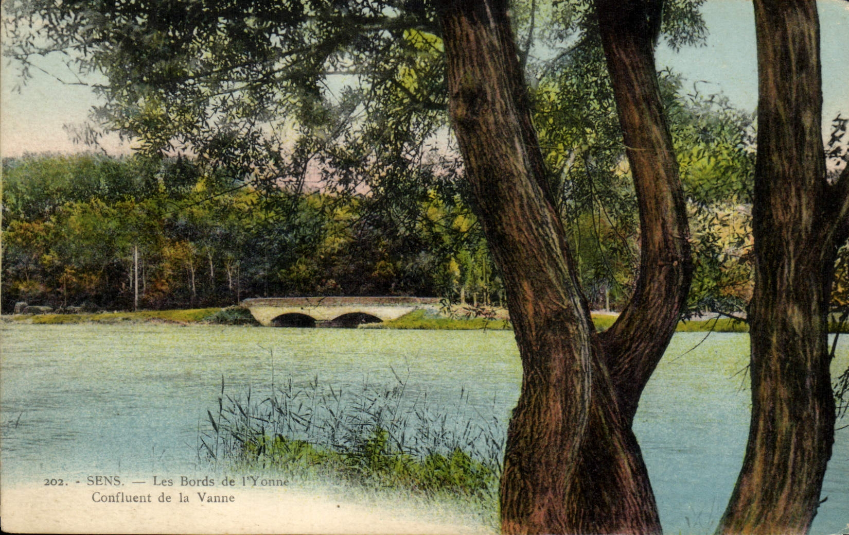 VINTAGE POSTCARD Sens Edges of I' Yonne Confluent of the Valve