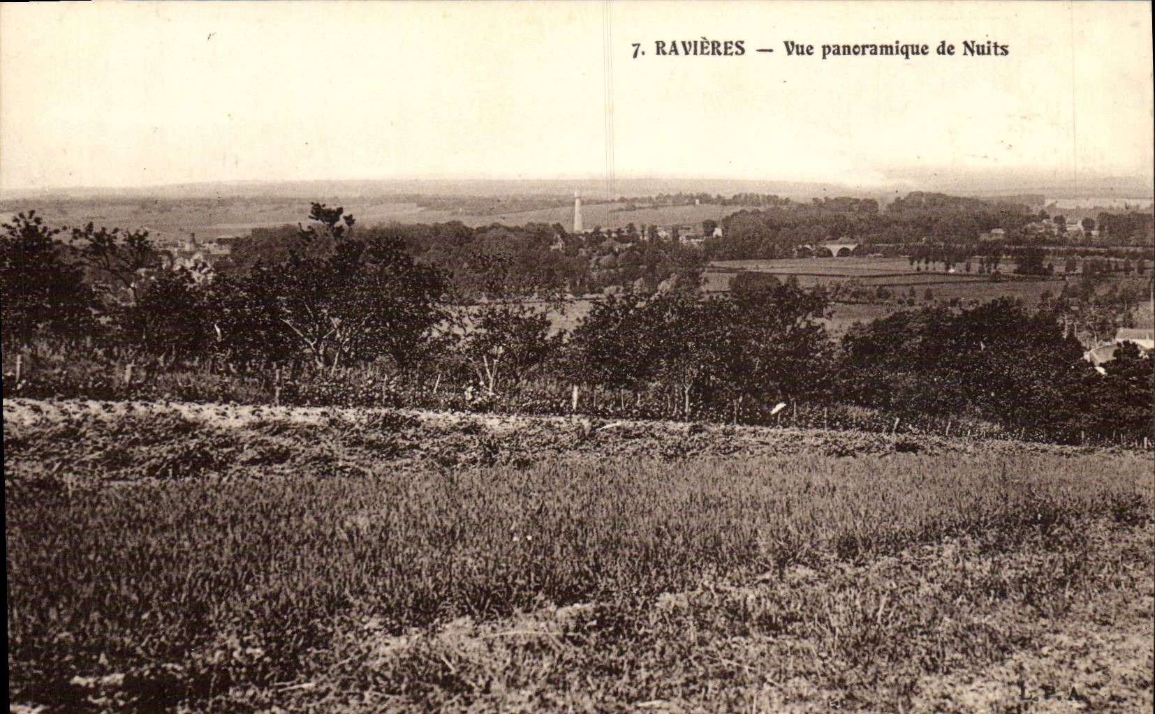 VINTAGE POSTCARD Turnip fields Panoramic View of Nights