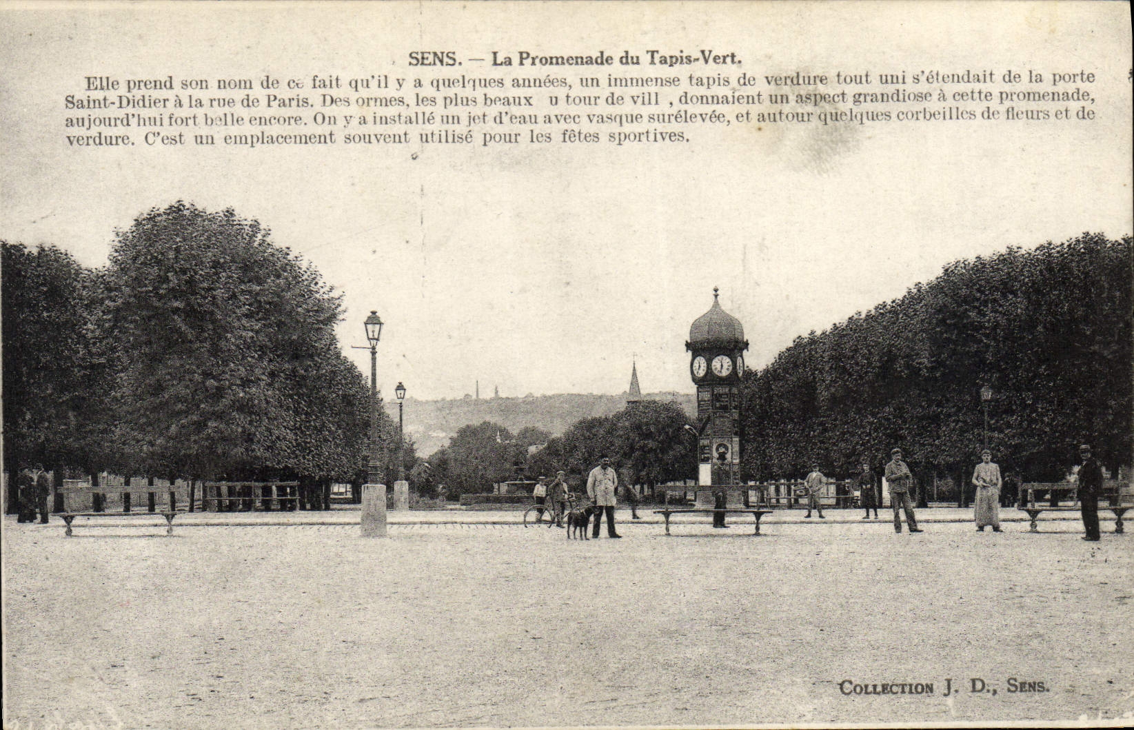 CPA Sens La Promenade du Tapis Vert