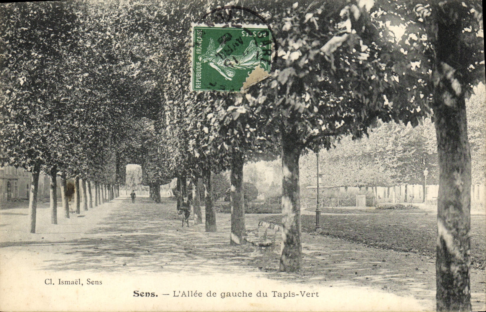 CPA Sens L'Allee de gauche du Tapls Vert
