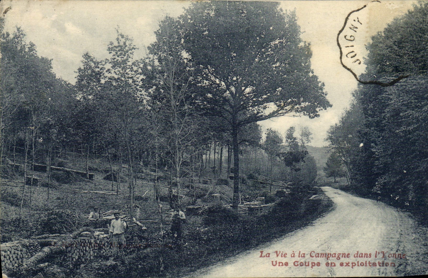VINTAGE POSTCARD Life In the Countryside In Yonne a Cut In exploitation
