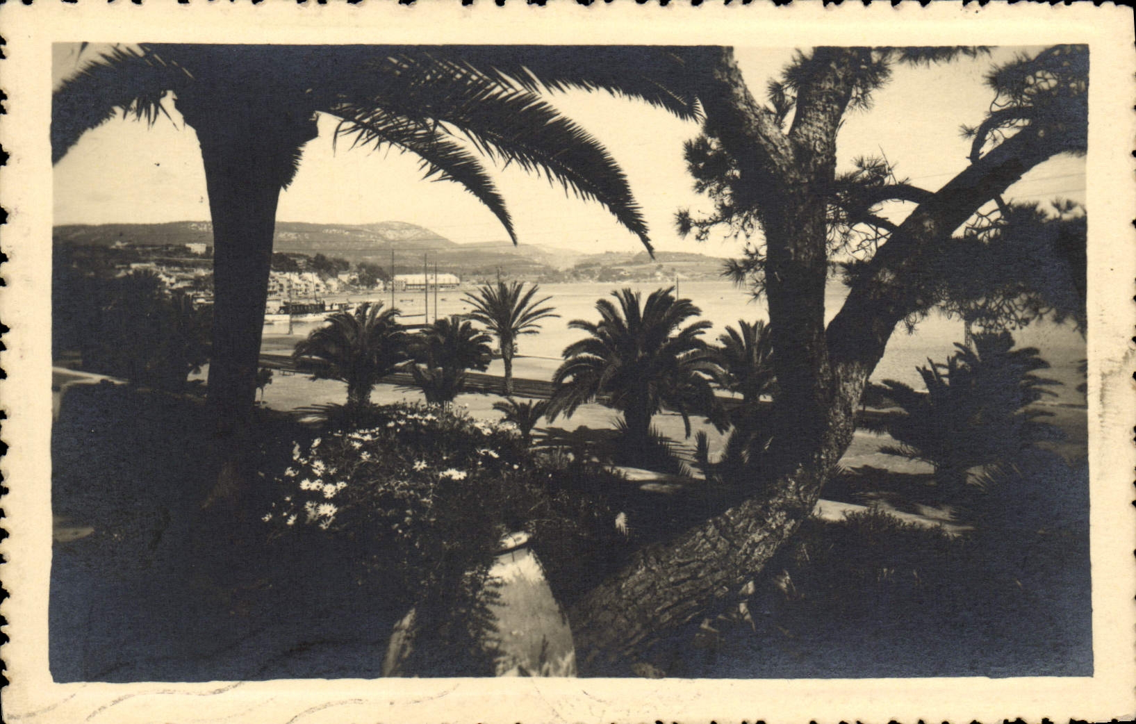 VINTAGE POSTCARD Bandol