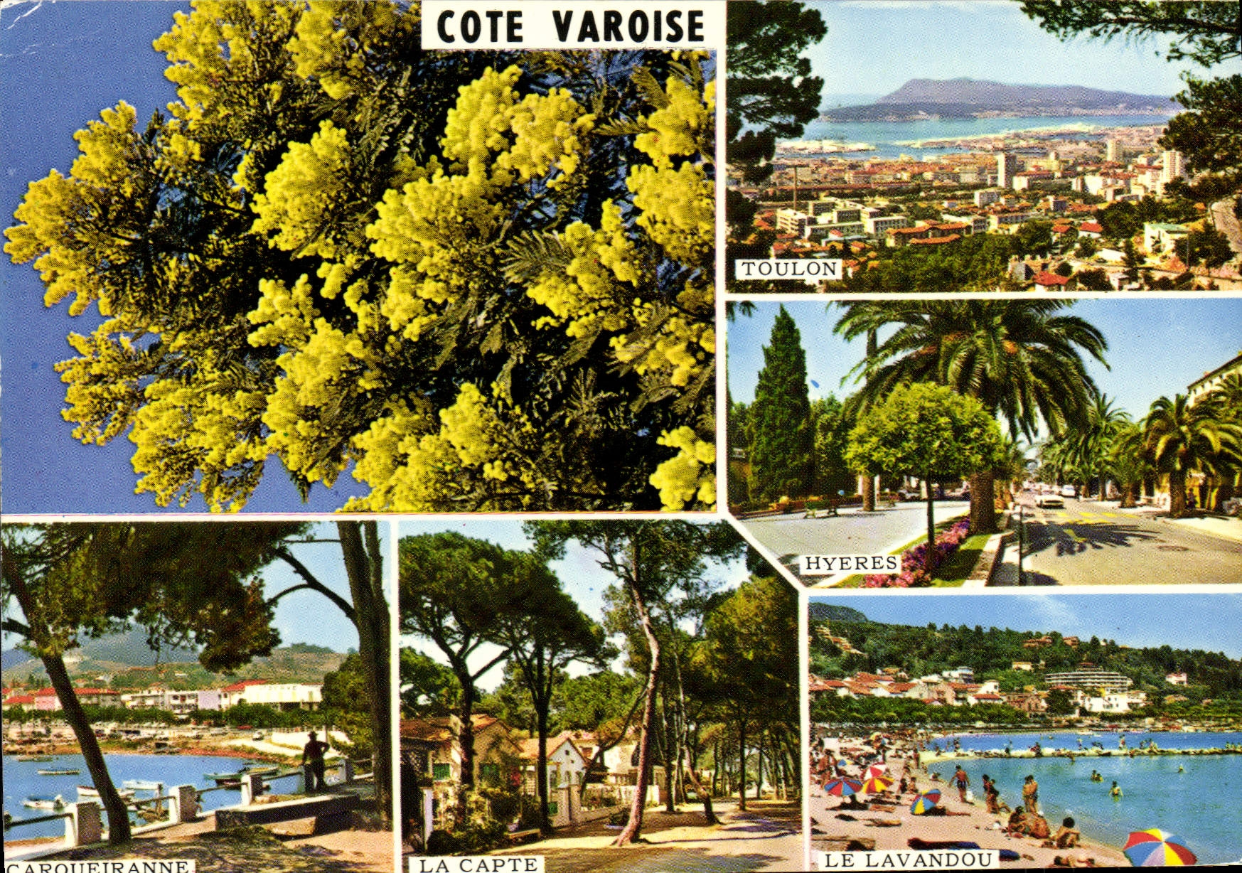 MODERN CARD Souvenir Of the Of the department of Var Dimension Toulon Carquetranne Collects It Lavandou