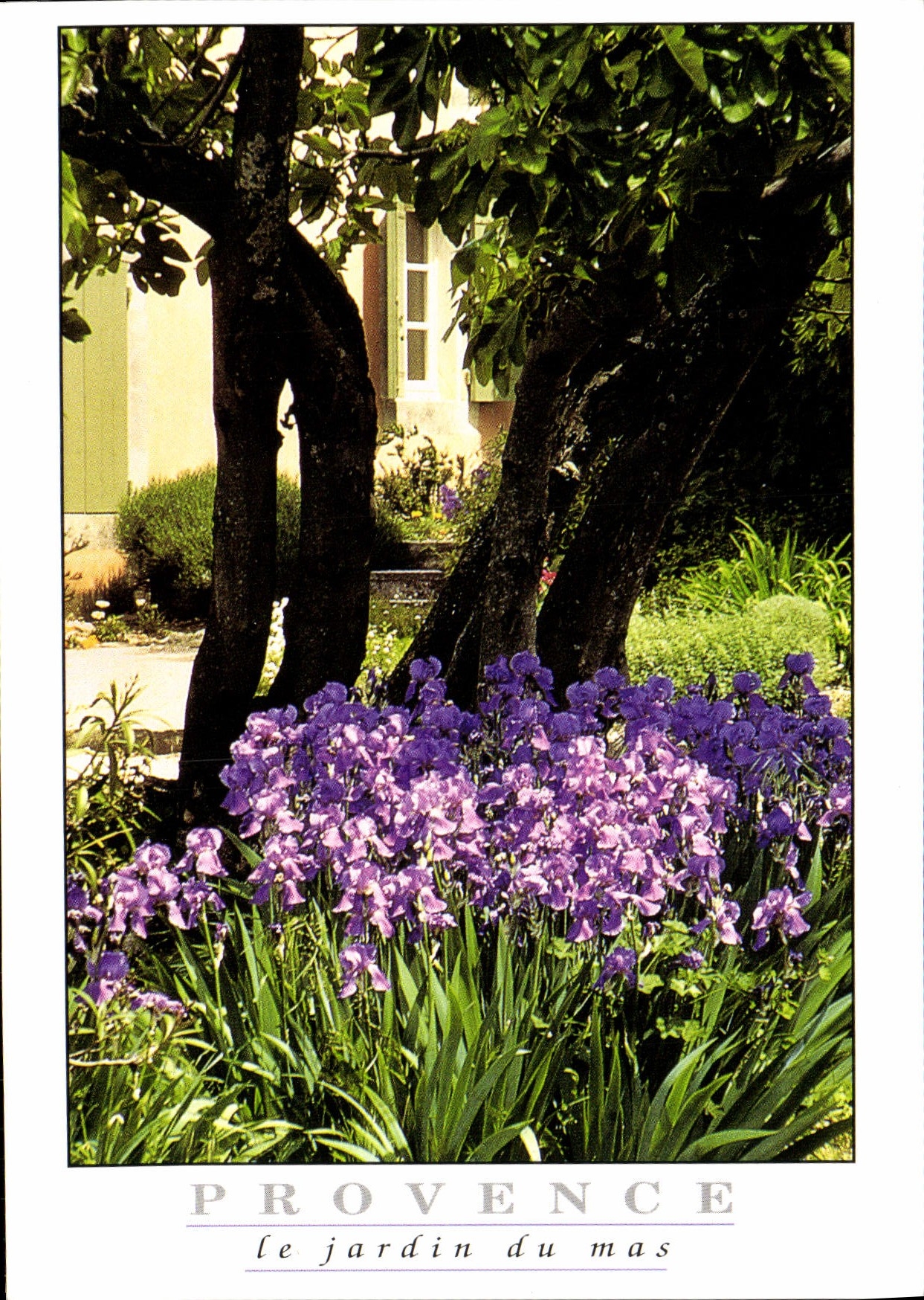 MODERN CARD Provence the Garden Of the Farmhouse