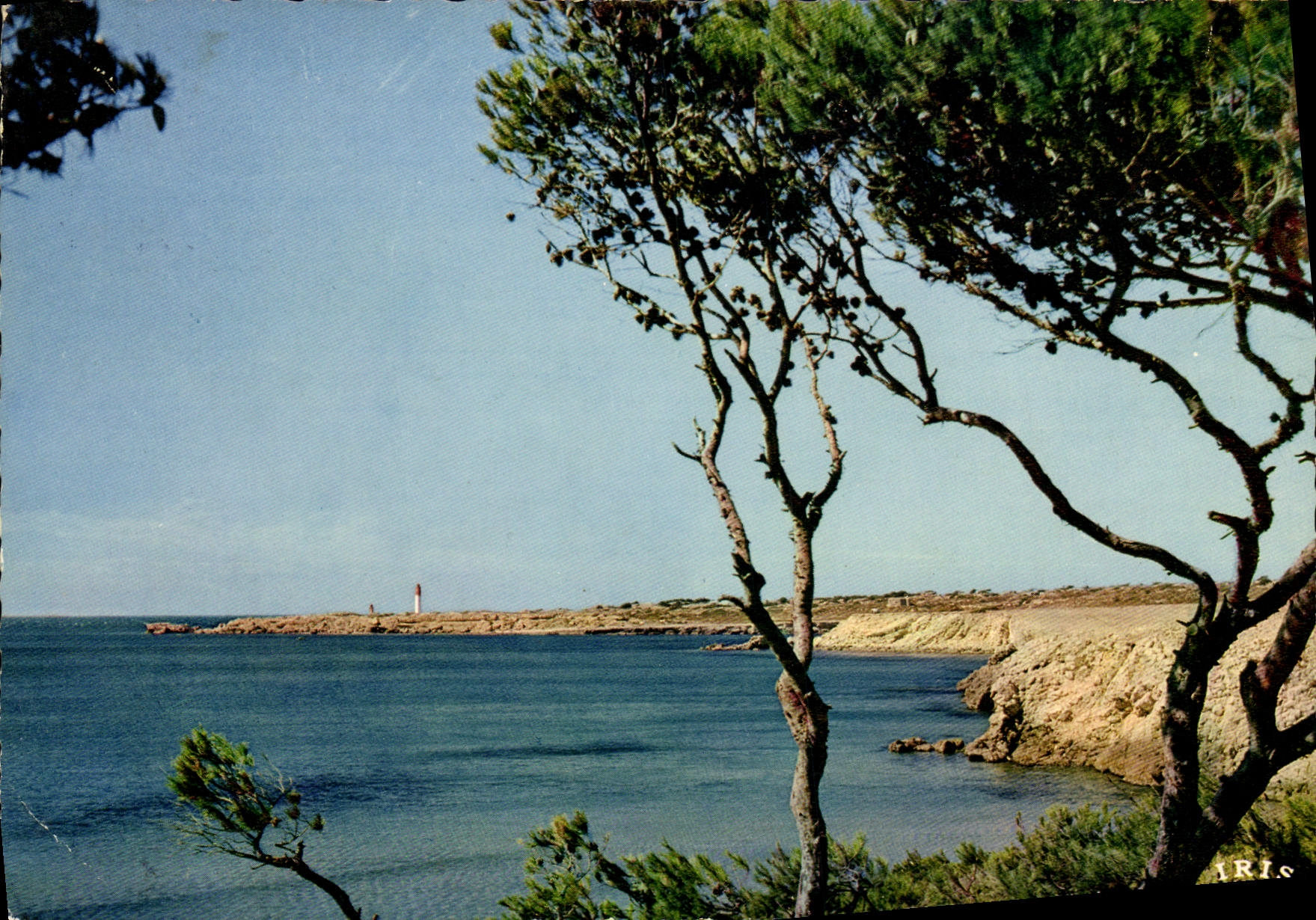 CPM Reflets De La Mediterranee 