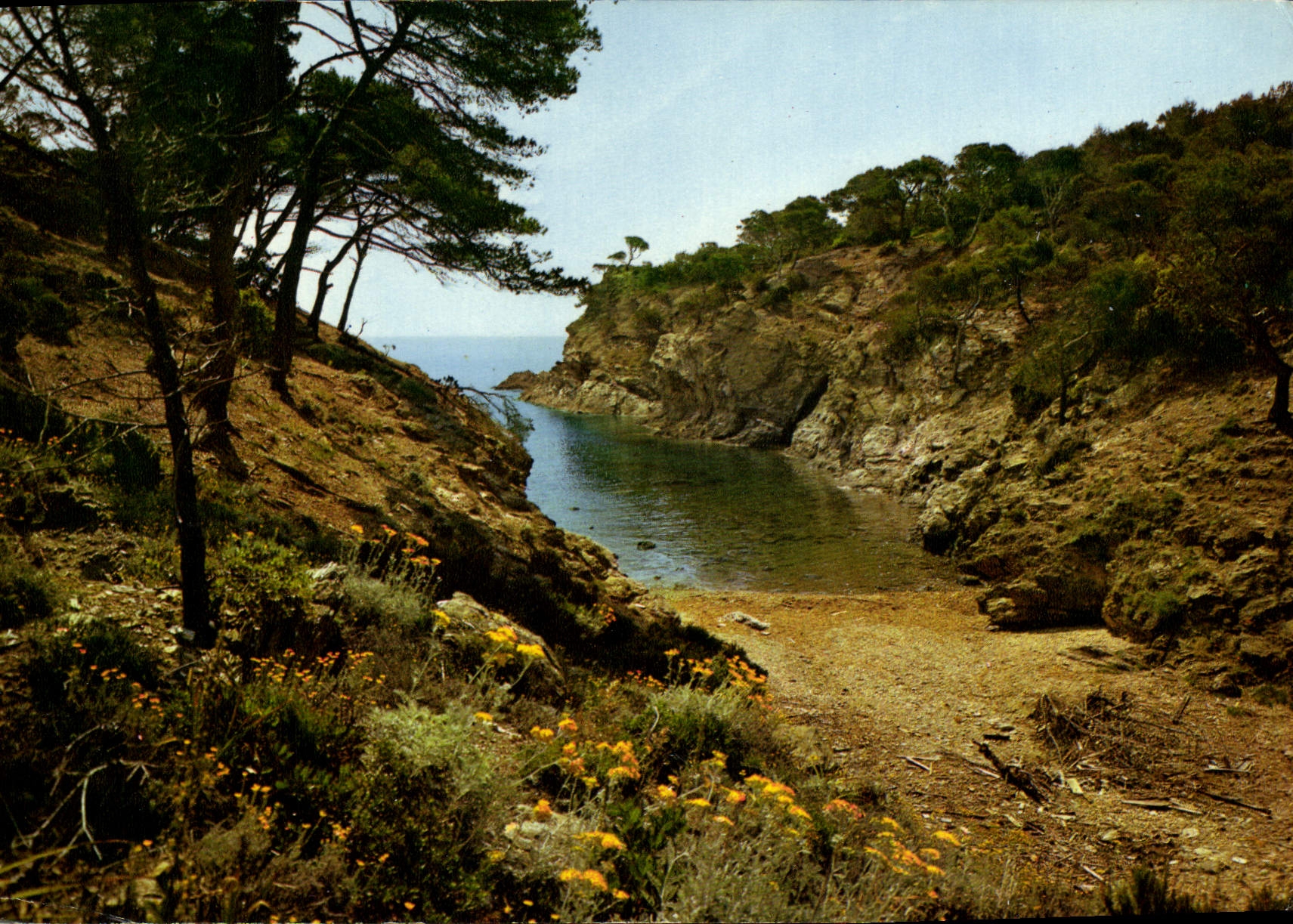 MODERN CARD the Mediterranean With the Shores Without Clouds Creek Or the Wave Shelters