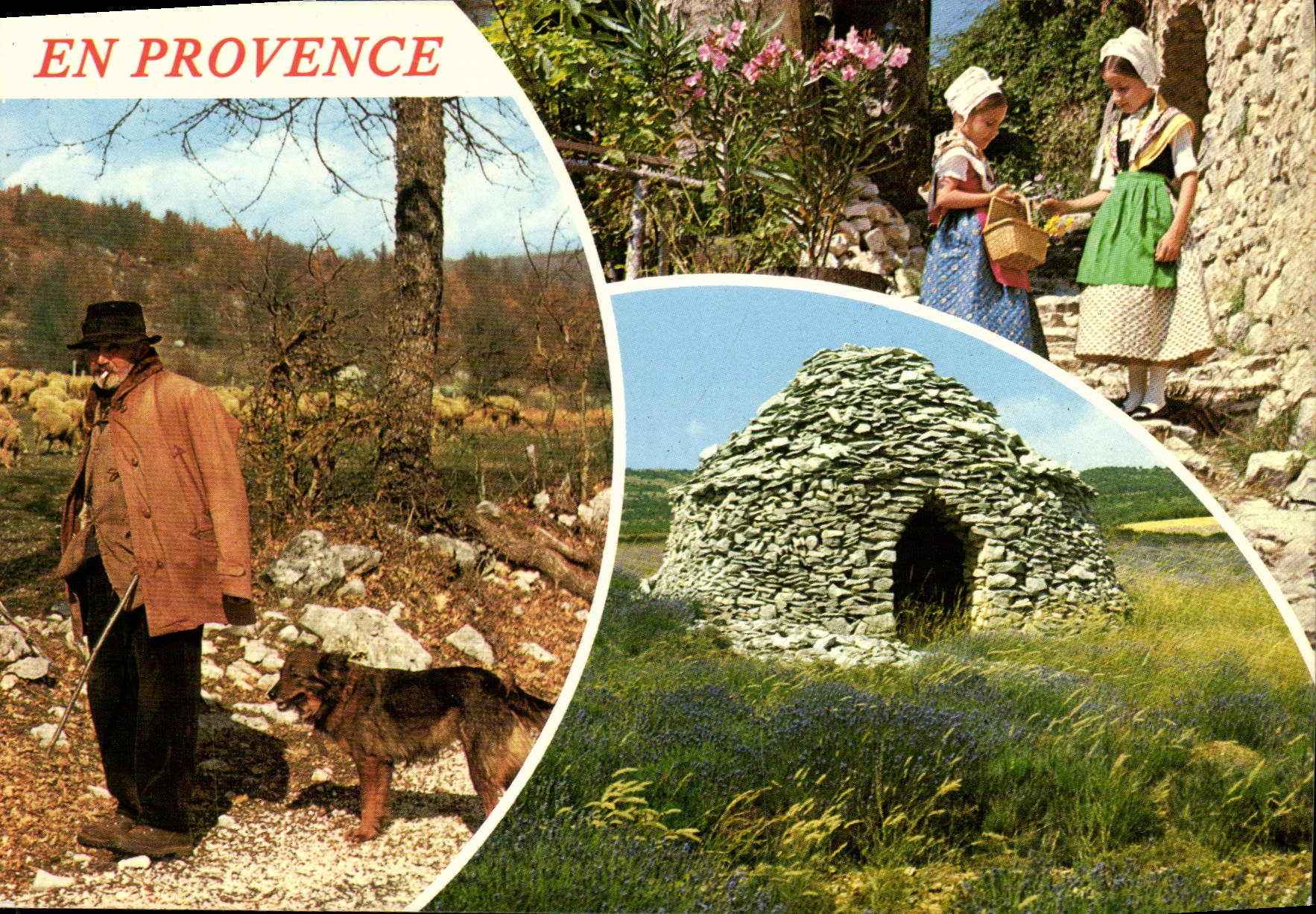 MODERN CARD Beautiful Images Of Provence