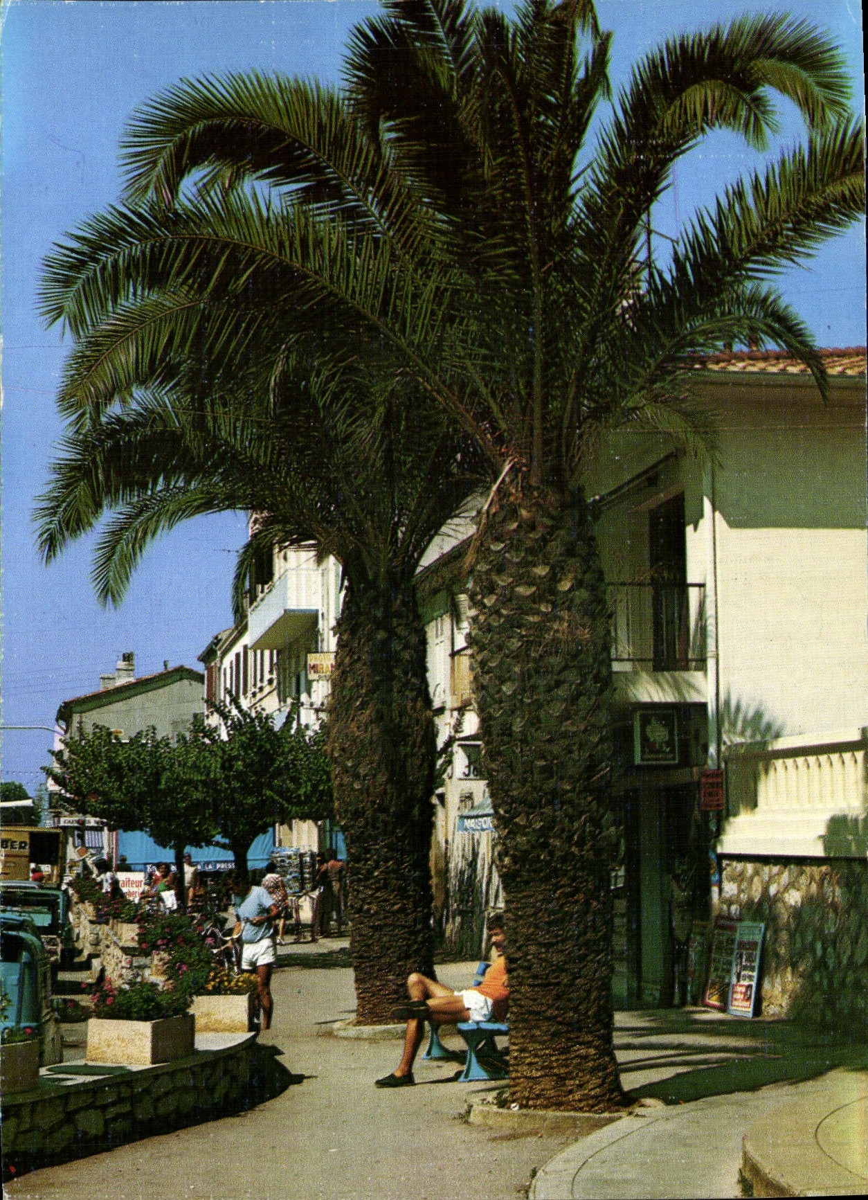 CPM La Londe Des Maures Coin d'Ombre Sur L'Avenue Clemenceau