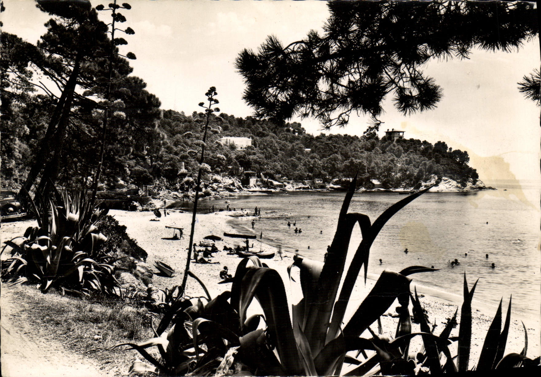 CPM La Cote Des Maures Le Canadel La Plage