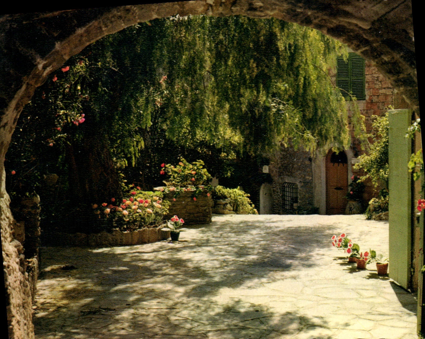 CPM La Cote Des Maures Bormes Les Mimosas Lau Poulid Cantoun