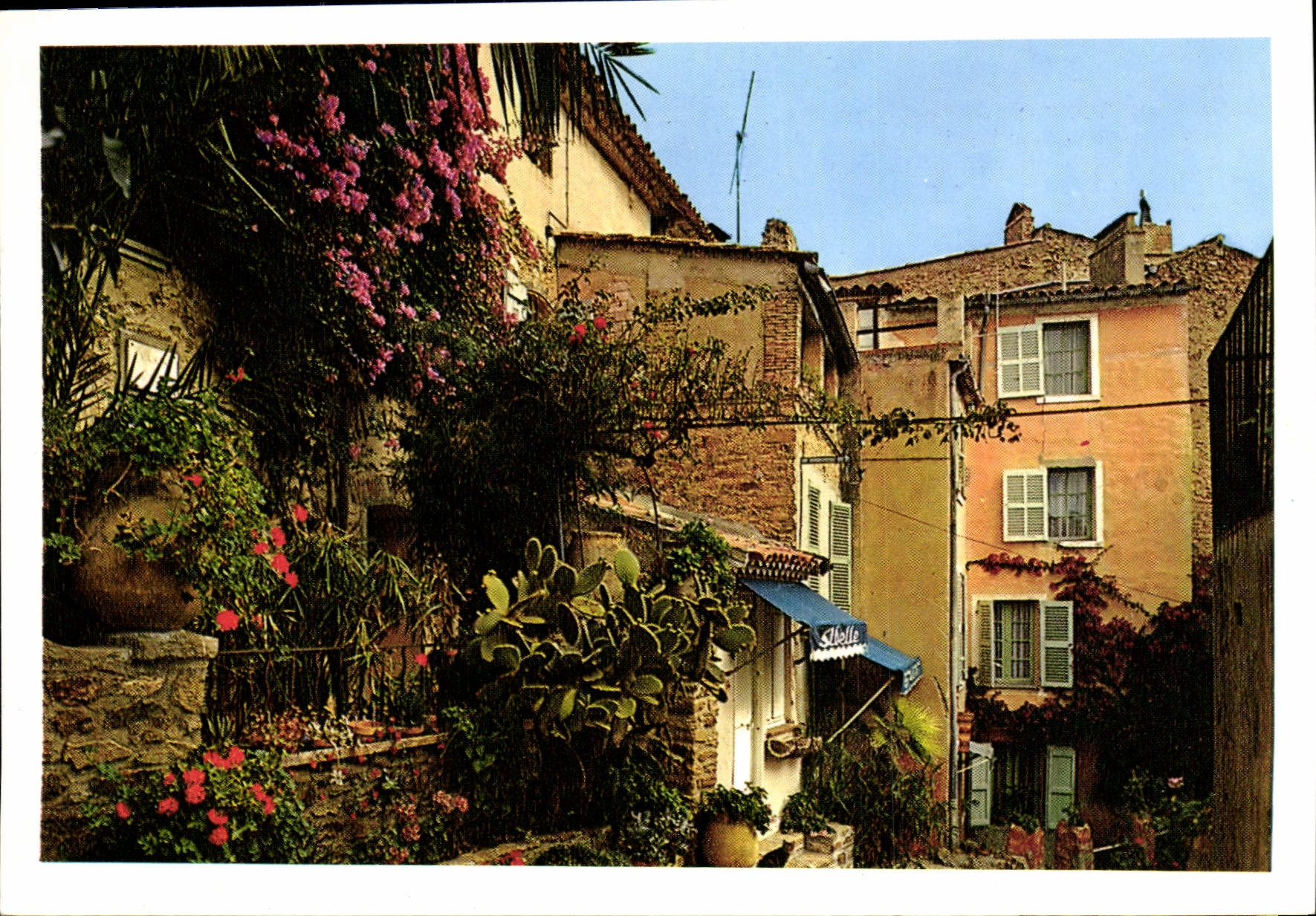 CPM La Cote d'Azur Bormes Les Mimosas Un Coin Pittoresque