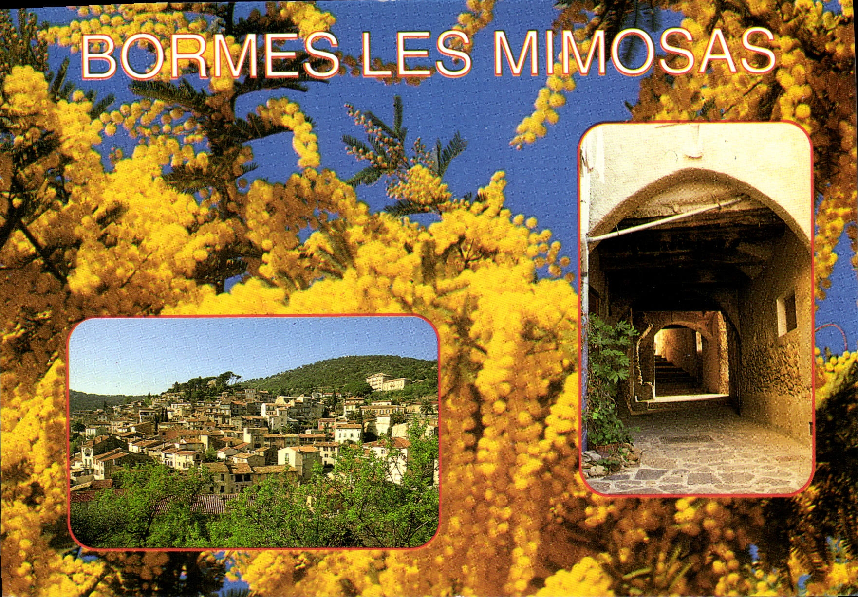 MODERN CARD the Dimension of Bormes Azure Mimosas