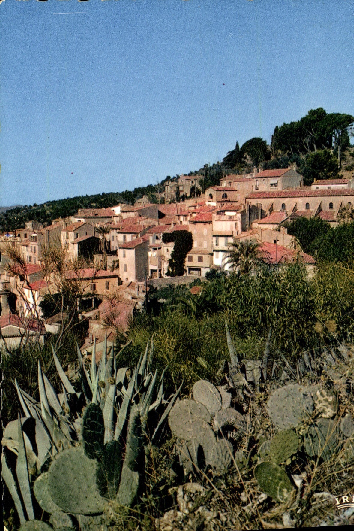 CPM La Cote d'Azur Varois Bormes Les Mimosas Vue Generale