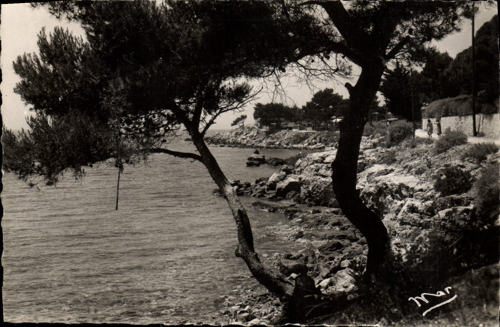MODERN CARD Bandol Under Wood And Seaside Of Capeland