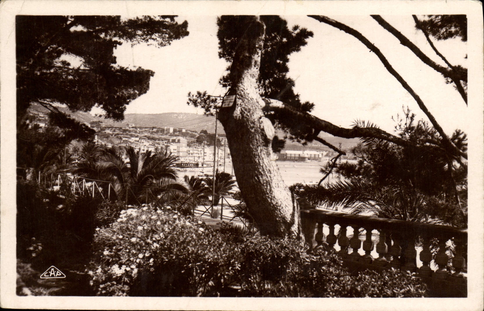 CPA Bandol Sur Mer Vue Generale