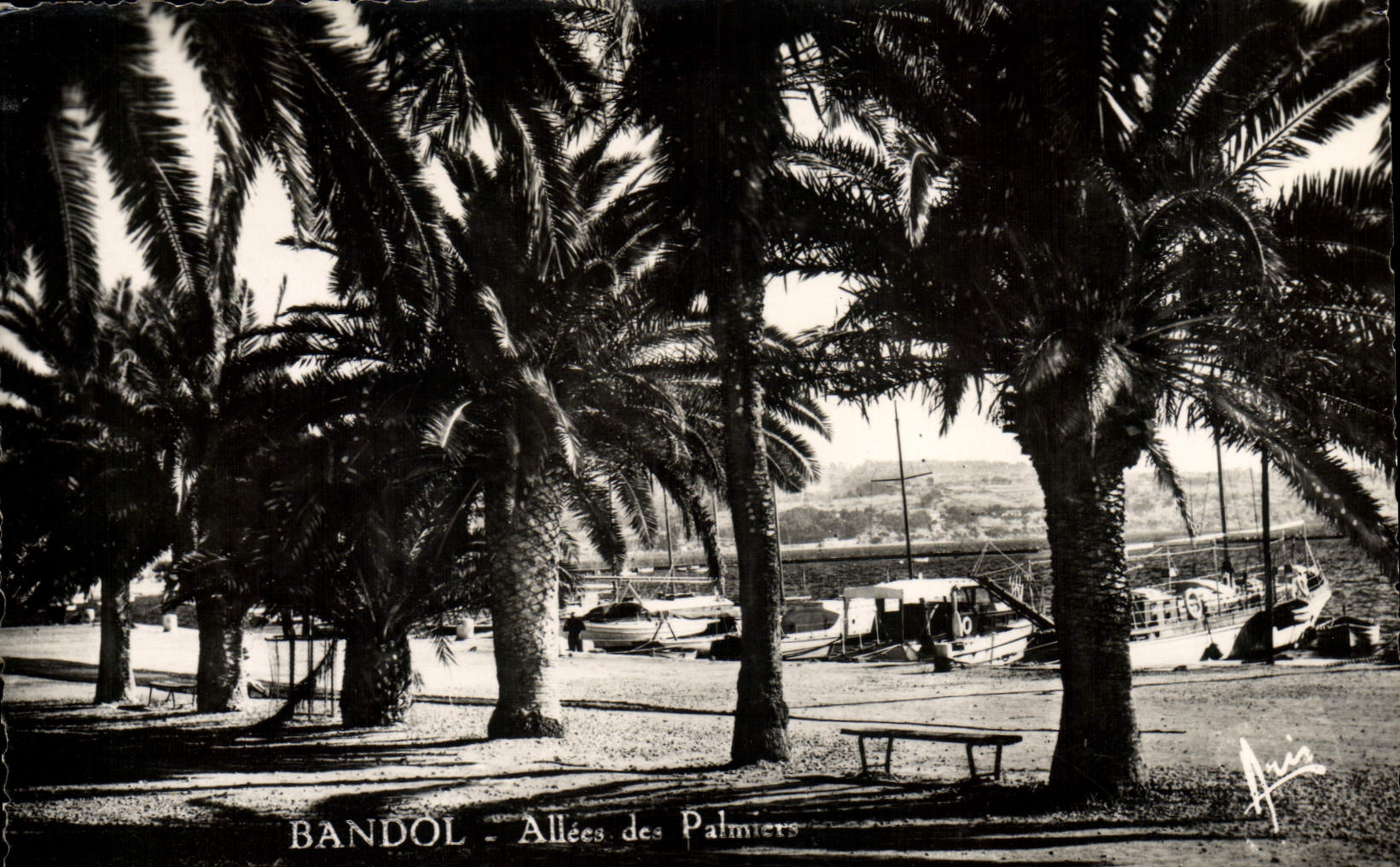 VINTAGE POSTCARD Bandol Gone Of Palm trees