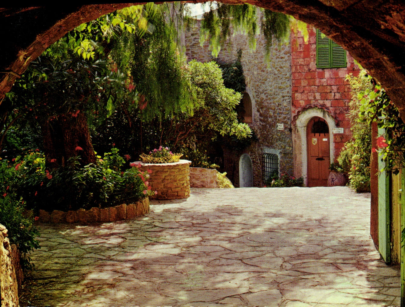 CPM Cote d'Azur Bormes Les Mimosas Un Cubert Poulid Cantoun