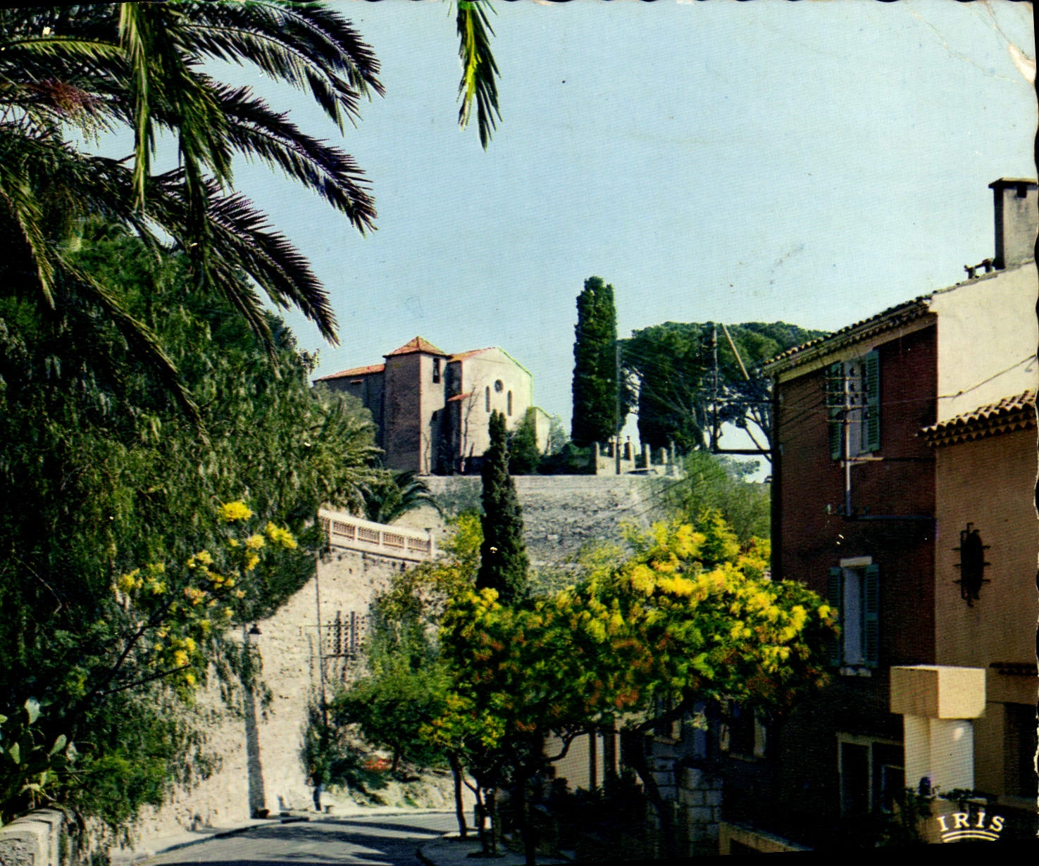 MODERN CARD Reflections Of the Dimension of Bormes Azure the Mimosas La Chapelle Holy François