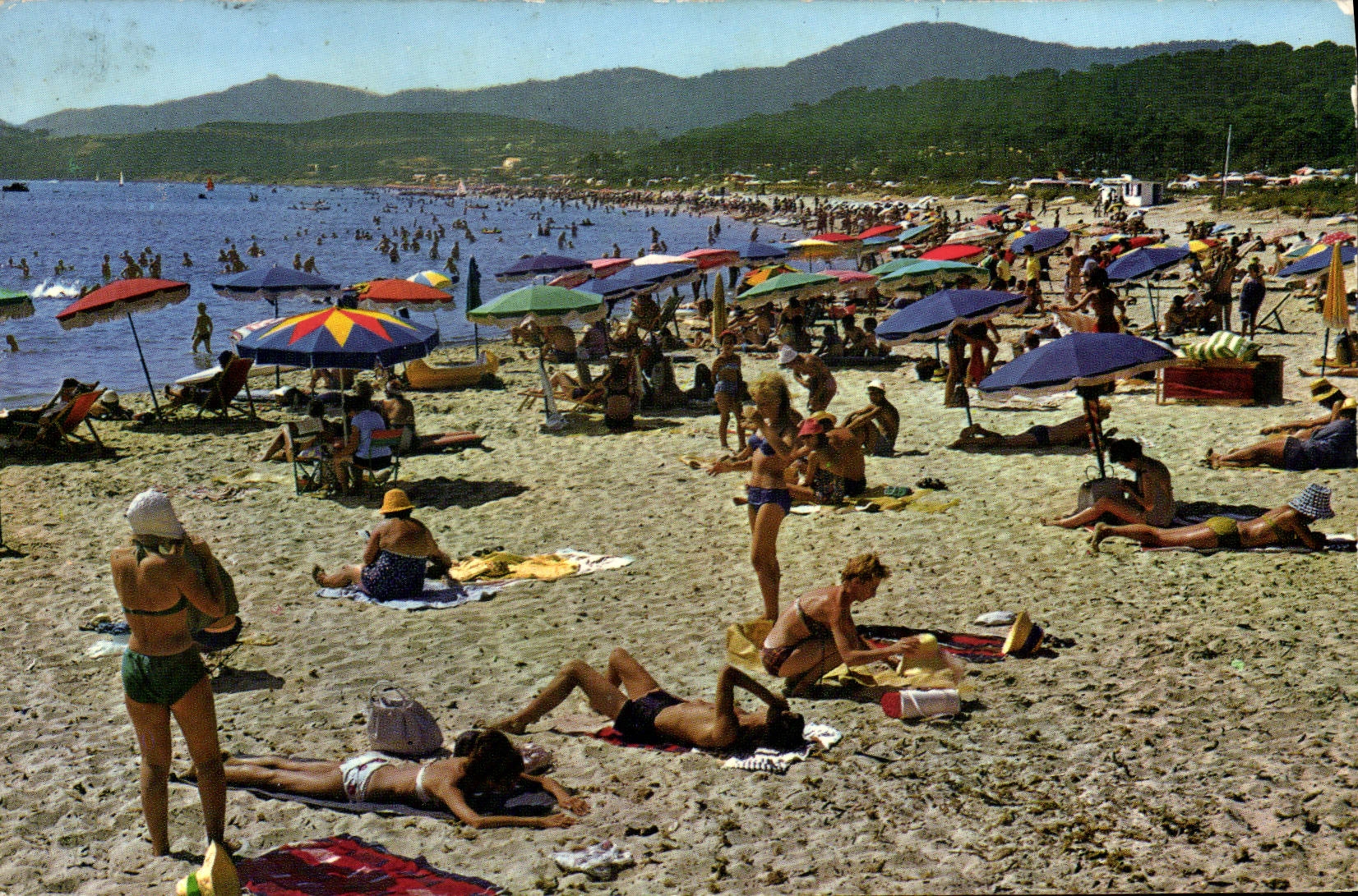 CPM La Cote d'Azur Bormes Les Mimosas La Faviere