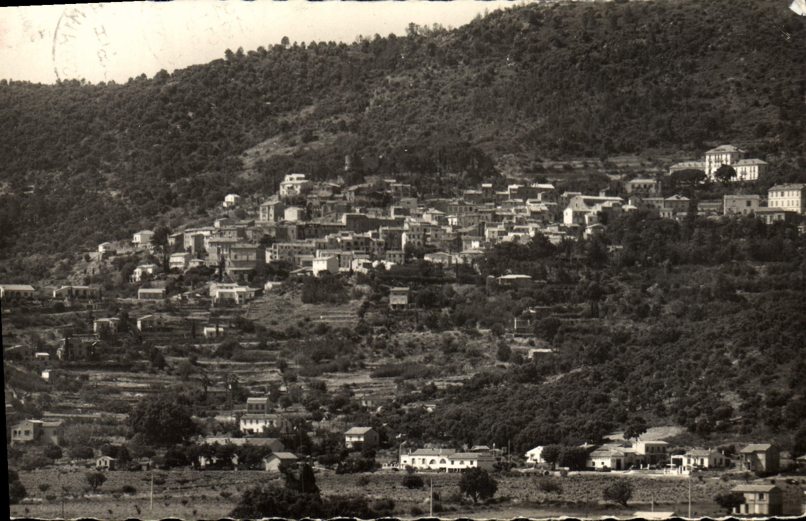 MODERN CARD Bormes Mimosas View