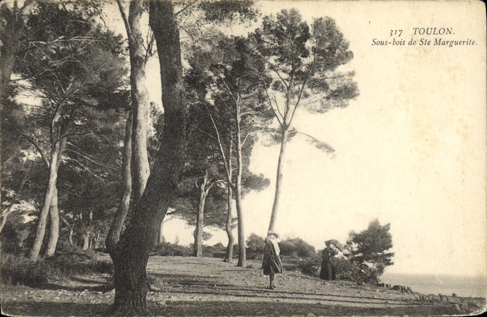 CPA Toulon Sous Bois De Ste Marguerite