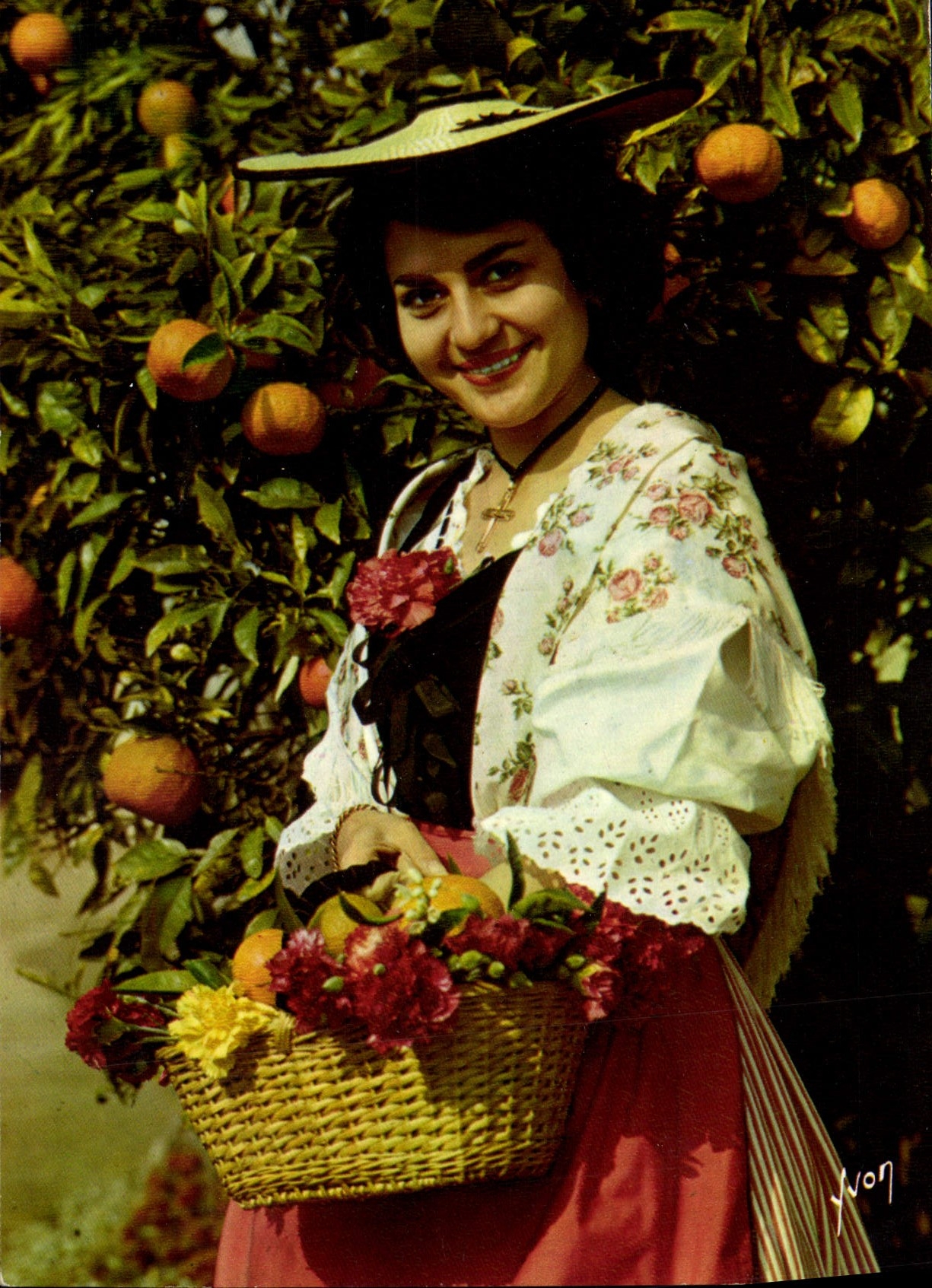 MODERN CARD Colors And Light Of France the Dimension of Azure Gathering of the oranges Woman