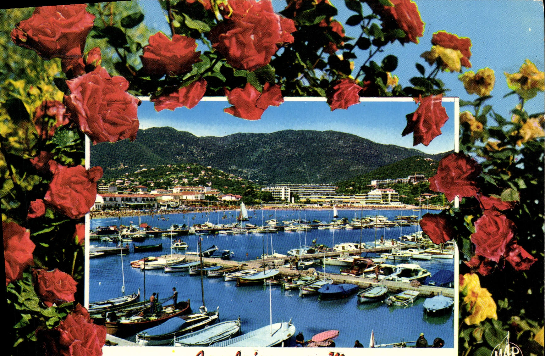 MODERN CARD the Dimension of Cavalaire Azure On Sea the Port