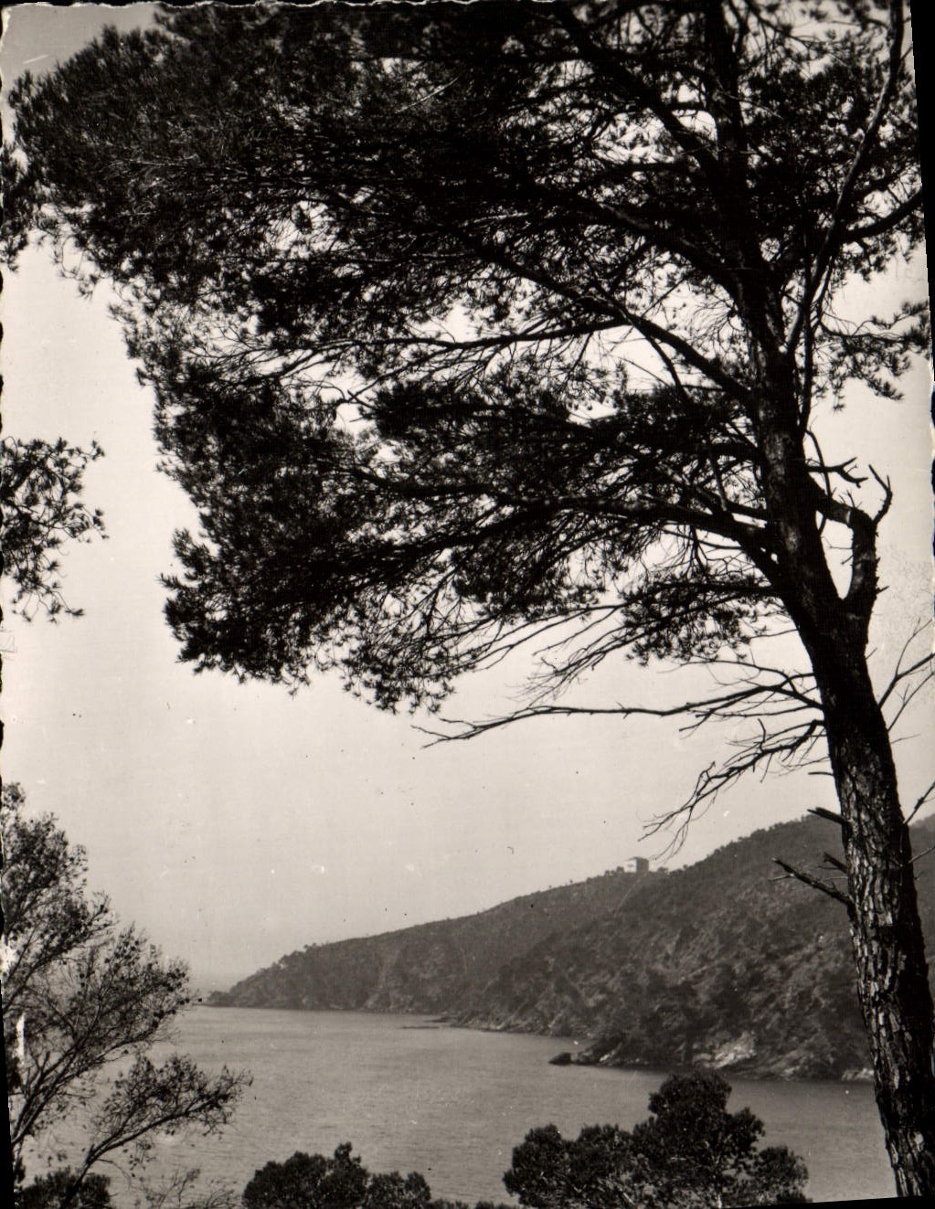 CPM La Cote D'Azur Cavalaire Sur Mer Calanques De Bon Porto