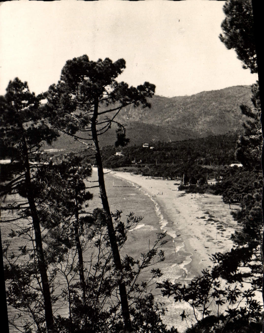 MODERN CARD the Cornice Of the Cavalaire Moors Escaped On the Gulf