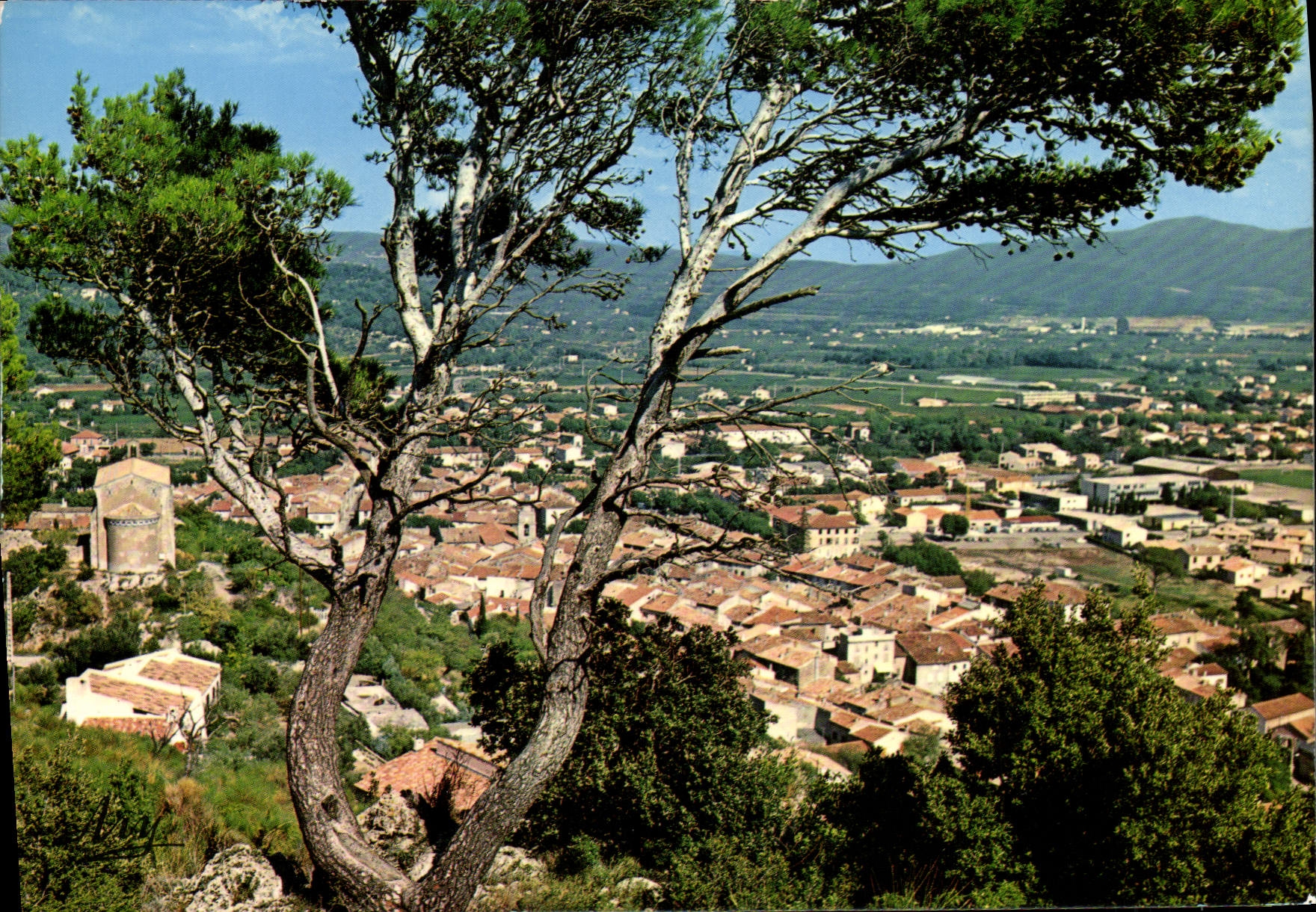 CPM Cuers Vue Generale