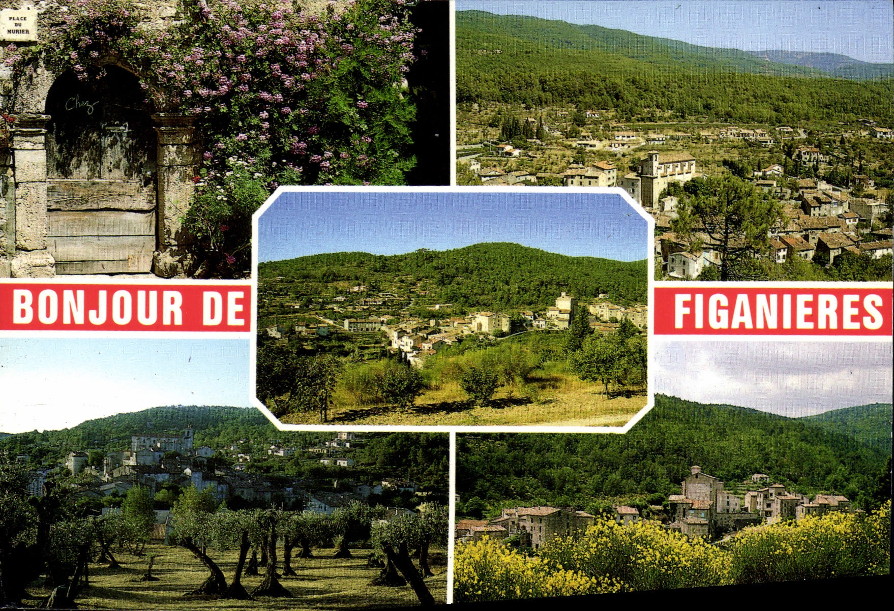 CPM Le Var Pittoresque Figanieres