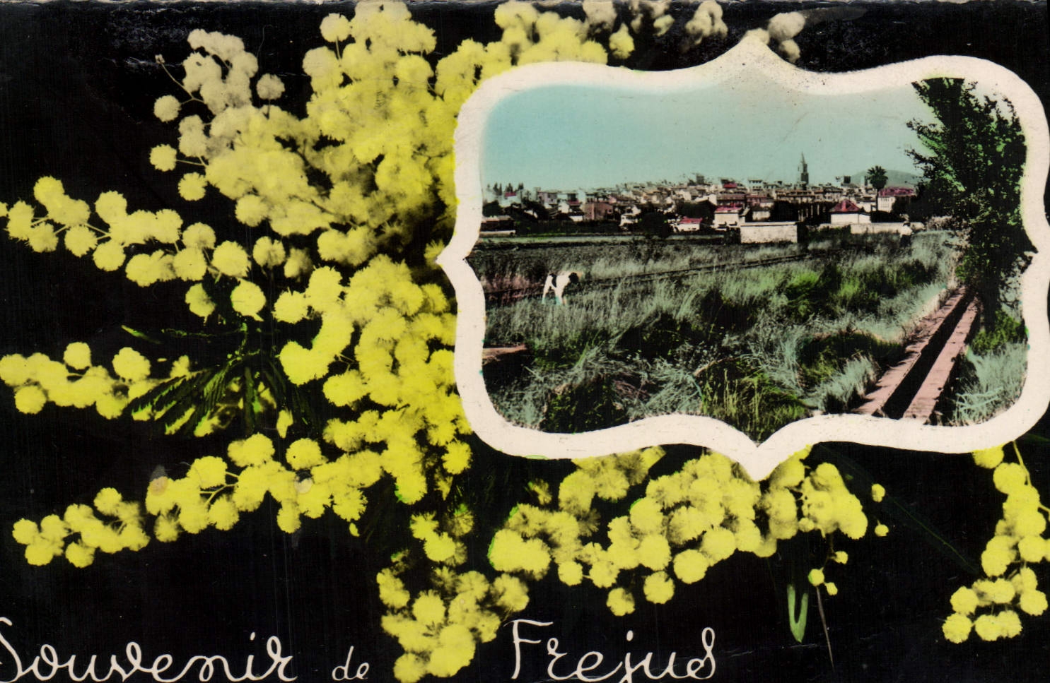 MODERN CARD To remember Of Frejus