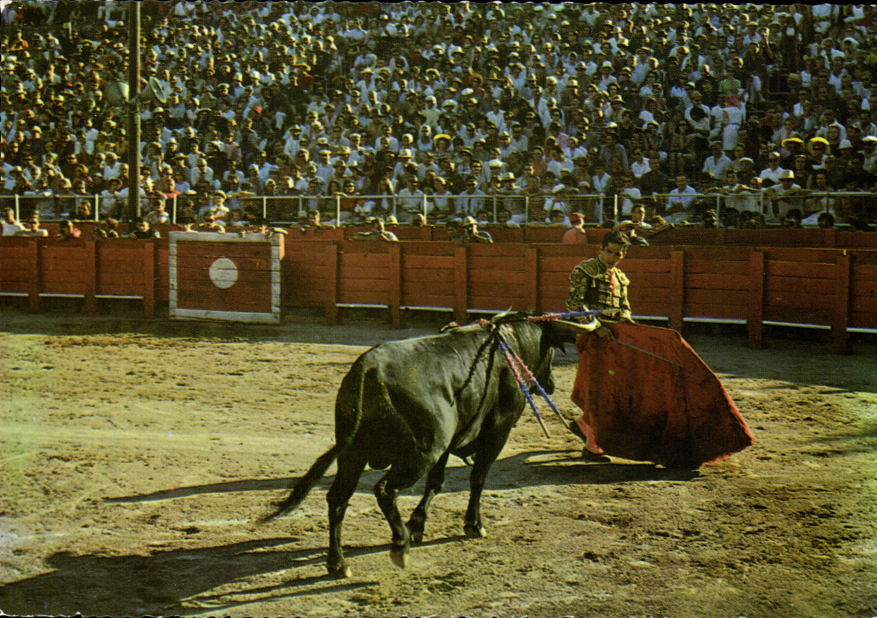 MODERN CARD the Bullfight Femps First Of Natural