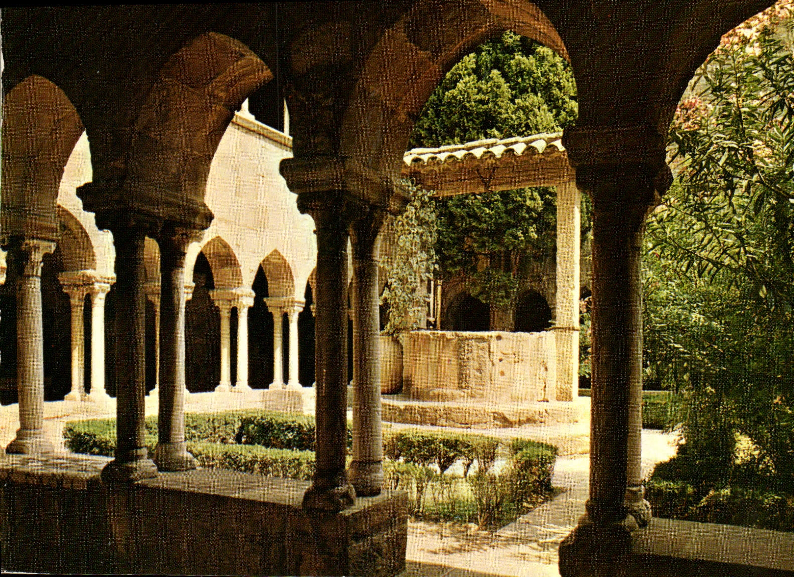 CPM La Cote d'Azur Pays Du Soleil Frejus Le Cloitre