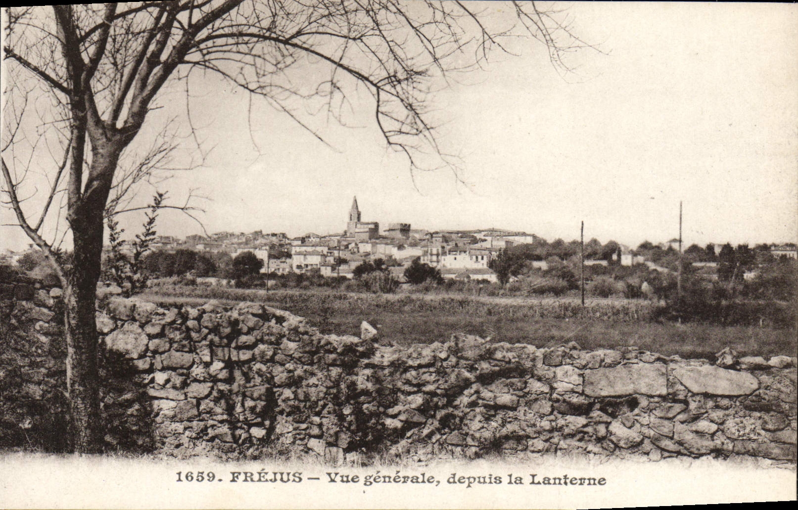 VINTAGE POSTCARD Frejus View since the Lantern