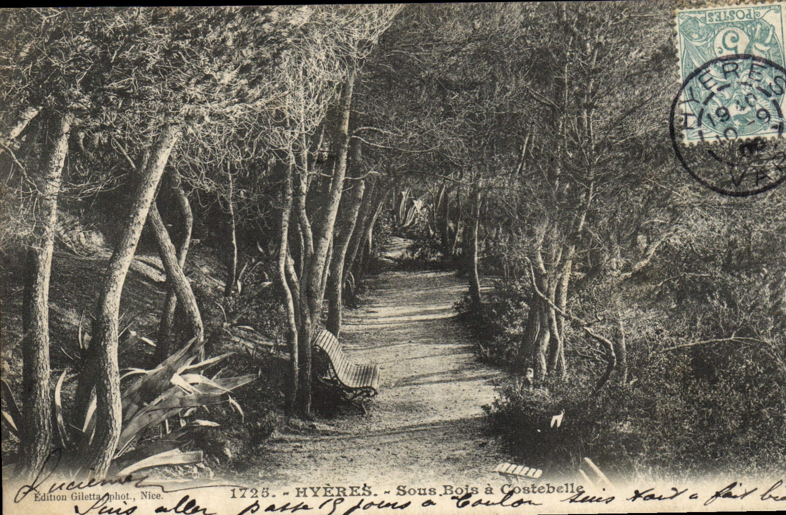 La POSTAL Hyeres de la VENDIMIA debajo de Bois tiene Costebelle