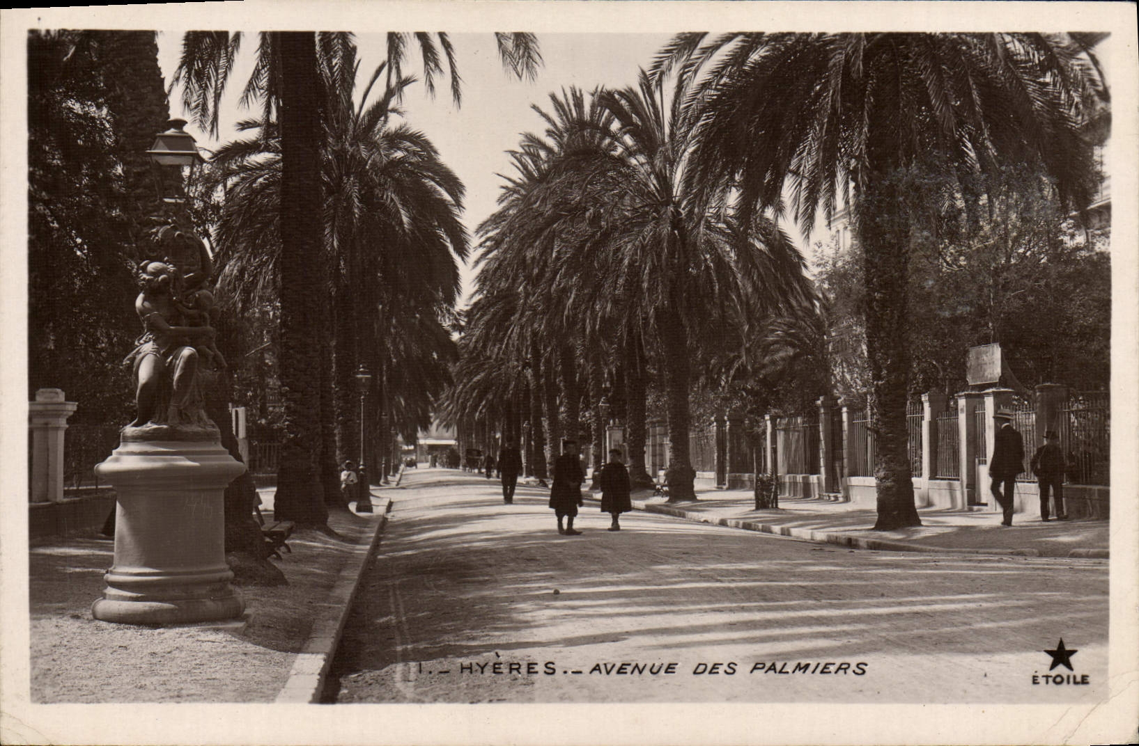 CPA Hyeres Avenue Des Palmiers