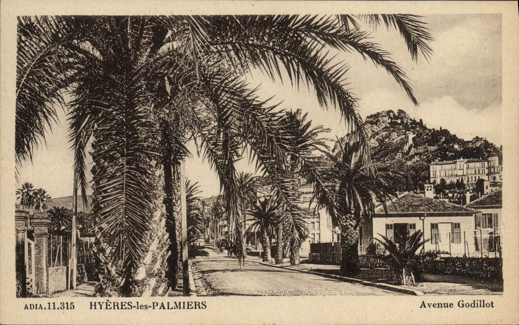 CPA Hyeres Les Palmiers Avenue Godillot