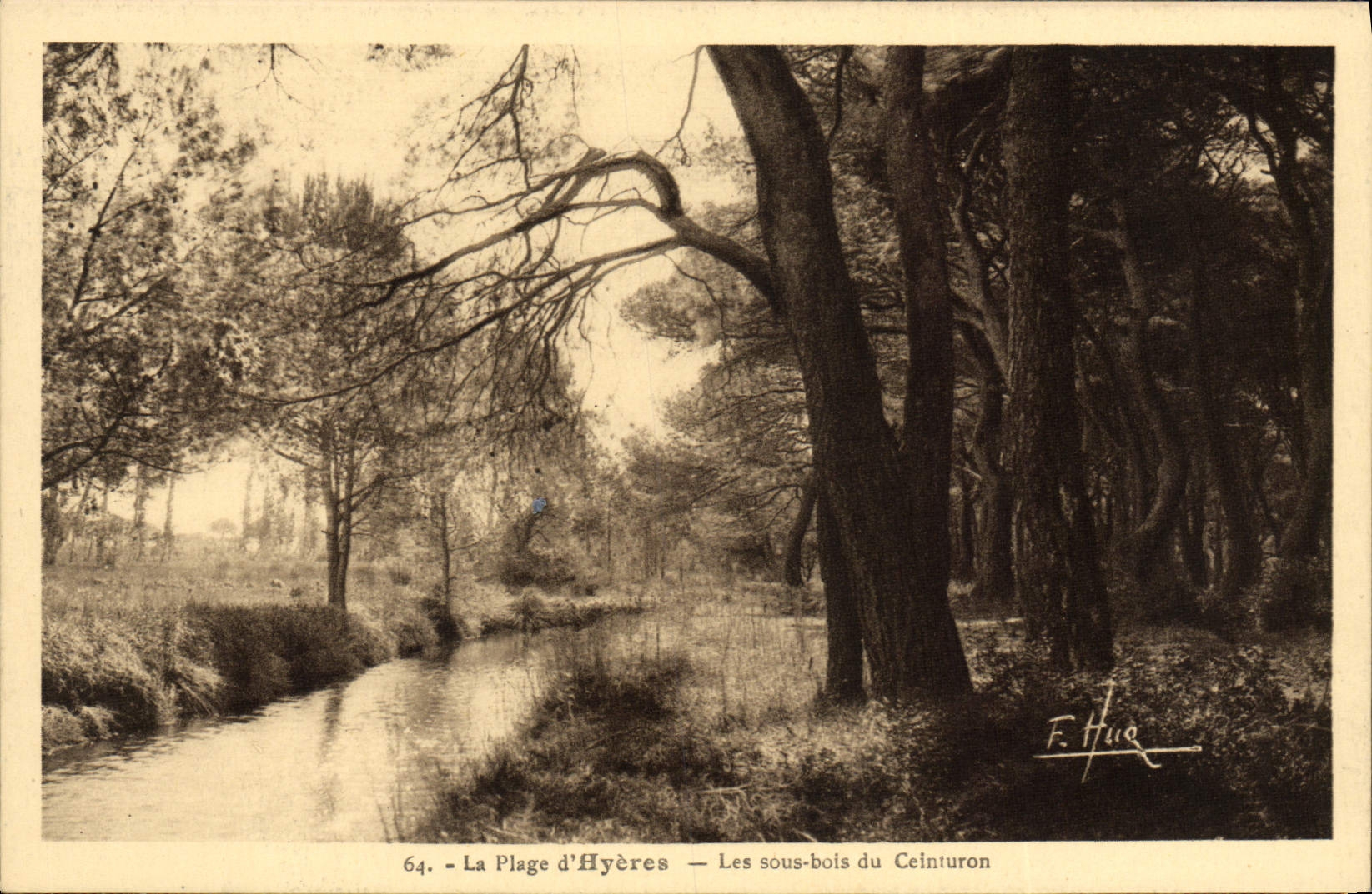 CPA Hyeres Les sous bois du Ceinturon