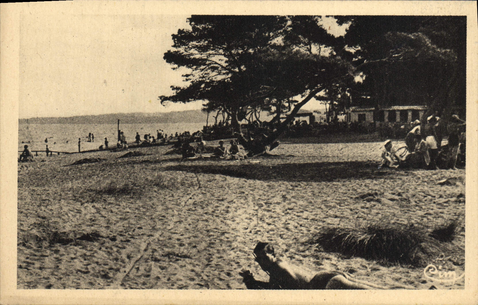 POSTAL Hyeres de la VENDIMIA que las palmeras varan y la caldera del hierro
