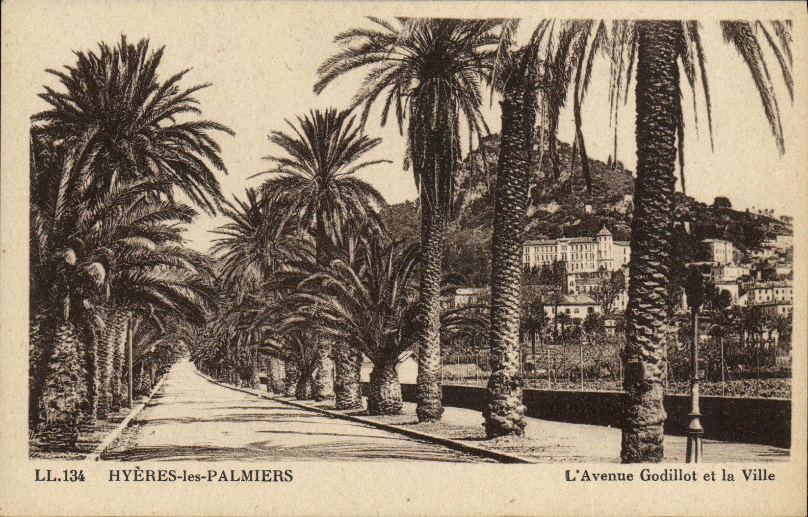 POSTAL Hyeres de la VENDIMIA la avenida de Godillot de las palmeras y la ciudad